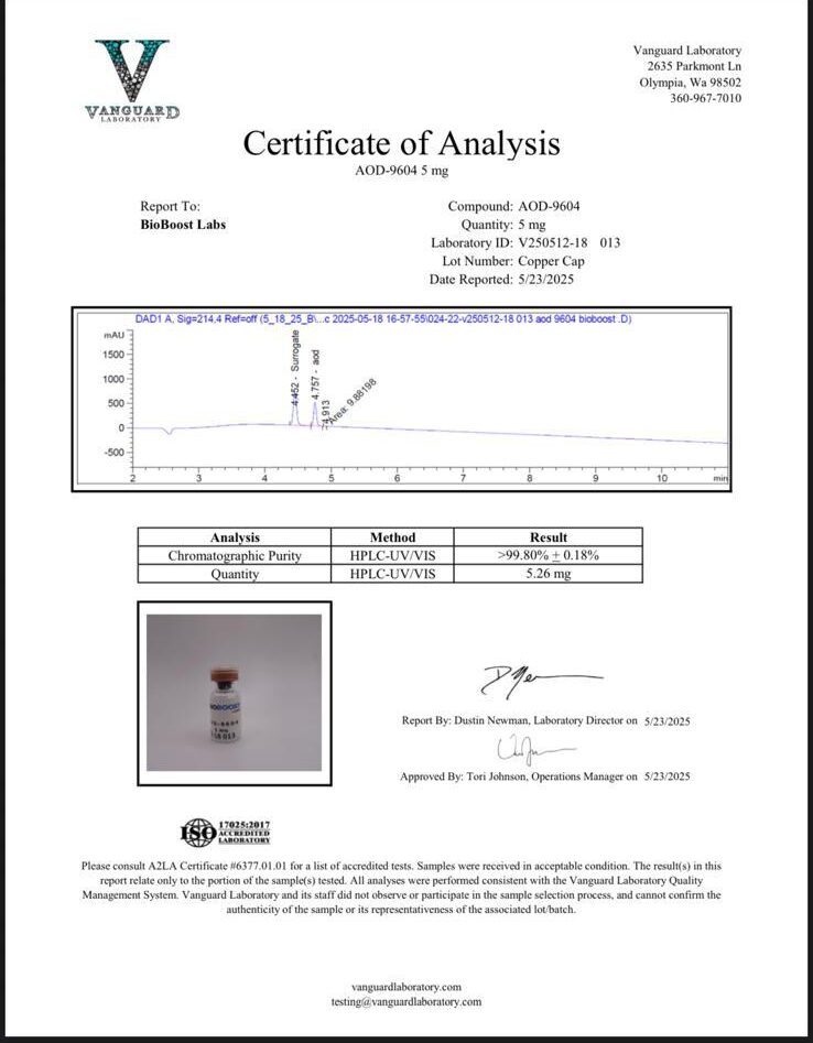 WhatsApp Image 2025-07-03 at 21.34.32_aeb16bc8